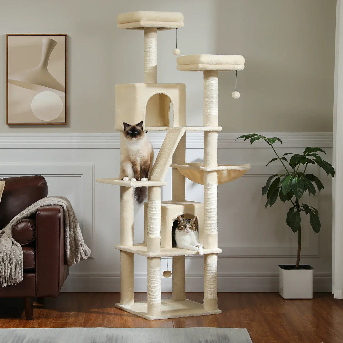 Comment choisir son arbre à chat : le guide complet 2026