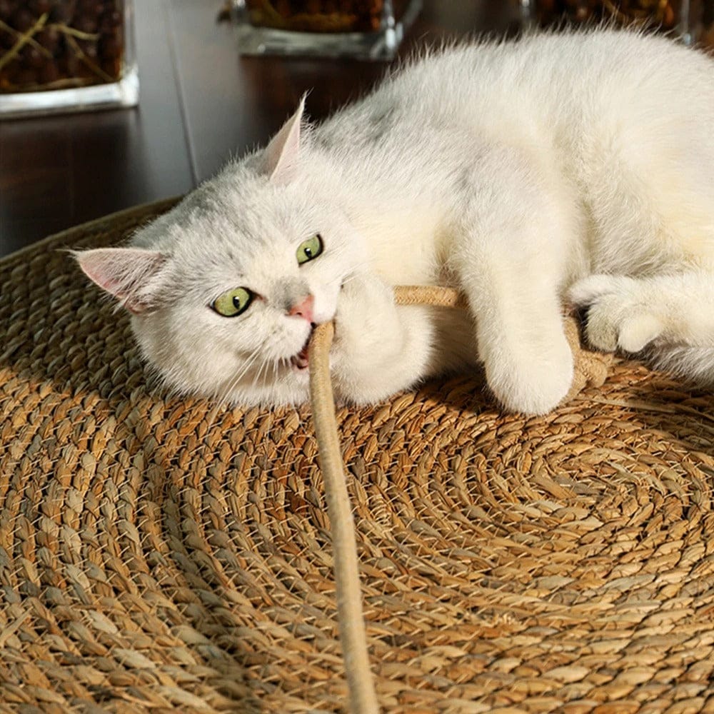 theMiaou 40cm Tapis Griffoir Naturel “Wild Paw” – Jute Écologique & Design Minimaliste